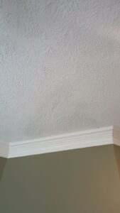 IMG-20250608-WA0003(1)